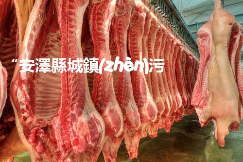 “安澤縣城鎮(zhèn)污水處理設(shè)備供貨商，助力綠色環(huán)保新篇章”